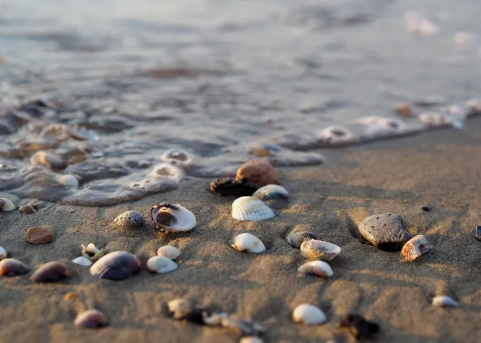 Appartamento In Our Beachside Flat *