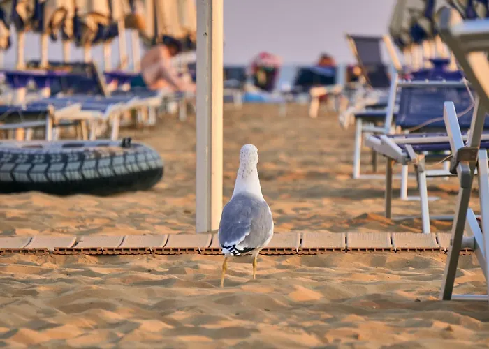 In Our Beachside Flat Appartamento *